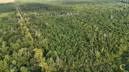 Land for sale in Ashley County, Arkansas