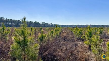 Land for sale in Bulloch County, Georgia