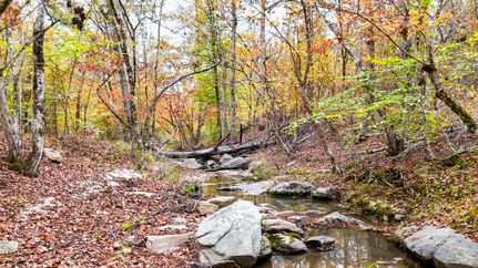 Land for sale in Laurens County, South Carolina