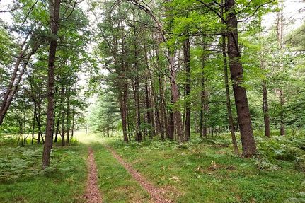 Hunting Property for sale in Marinette County, Wisconsin
