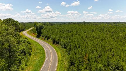 Timberland Property for sale in Chester County, South Carolina