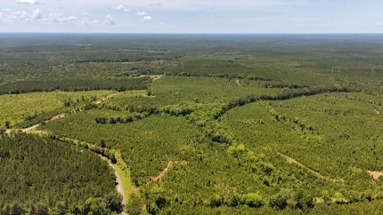 Timberland Property for sale in Chester County, South Carolina