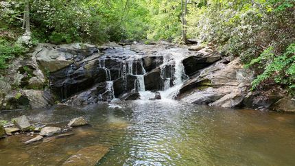 Undeveloped Land in Henry County, Virginia