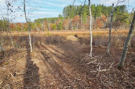 Timberland Property for sale in Burnett County, Wisconsin