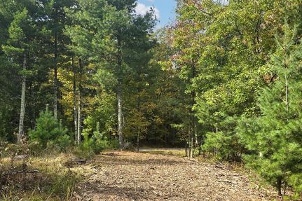 Hunting Property for sale in Bayfield County, Wisconsin