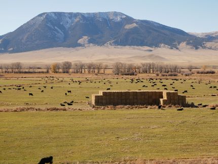 Farm and Ranch for sale in Beaverhead County, Montana