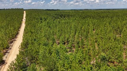 Timberland Property for sale in Kershaw County, South Carolina