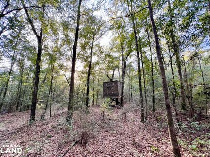 Undeveloped Land for sale in Mobile County, Alabama