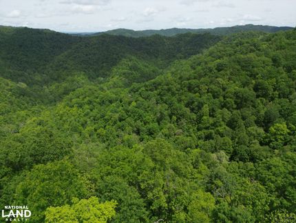 Undeveloped Land for sale in McDowell County, West Virginia