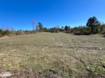 Recreational Property for sale in Choctaw County, Alabama