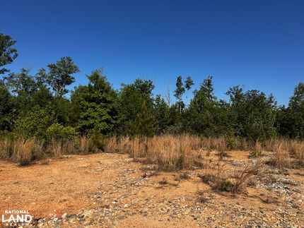 Undeveloped Land in Goochland County, Virginia