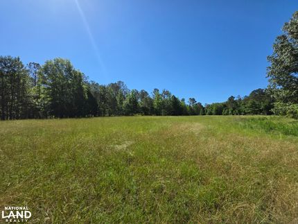 Land for sale in Marion County, Alabama