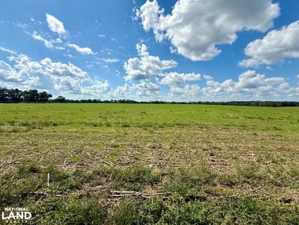 Land for sale in Baldwin County, Alabama