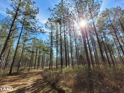 Recreational Property for sale in Lowndes County, Alabama