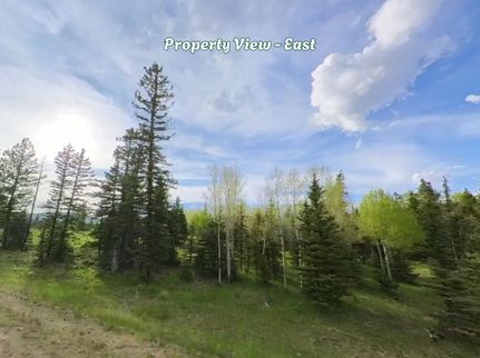 Land for sale in Colfax County, New Mexico