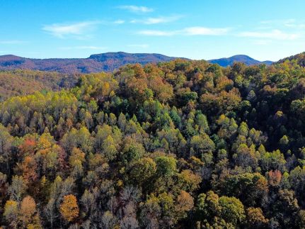 Land for sale in Campbell County, Tennessee