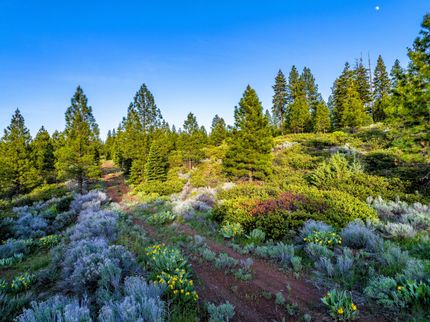 Land for sale in Modoc County, California