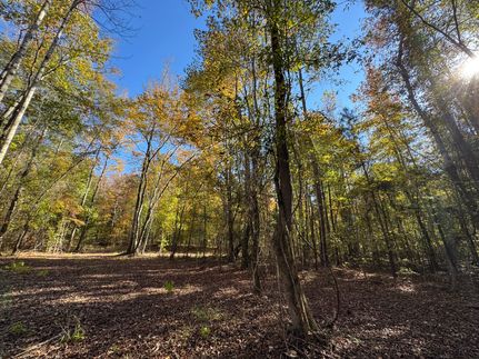 Undeveloped Land for sale in Tallapoosa County, Alabama