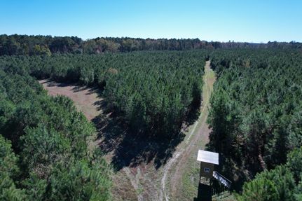 Land for sale in Williamsburg County, South Carolina