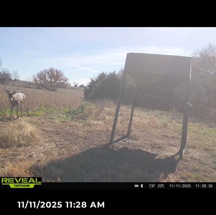 Land for sale in Woodson County, Kansas