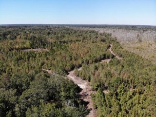 Land for sale in Colleton County, South Carolina