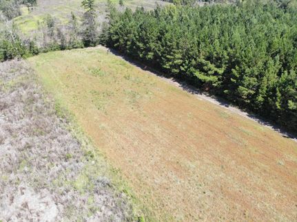 Land for sale in Bamberg County, South Carolina