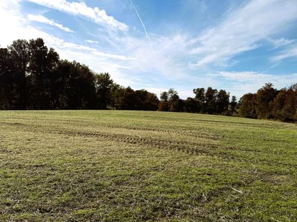 Land for sale in Gibson County, Indiana