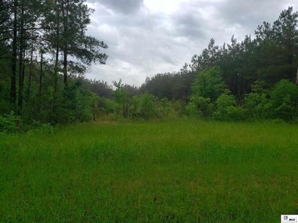 Riverfront Property for sale in Richland Parish, Louisiana