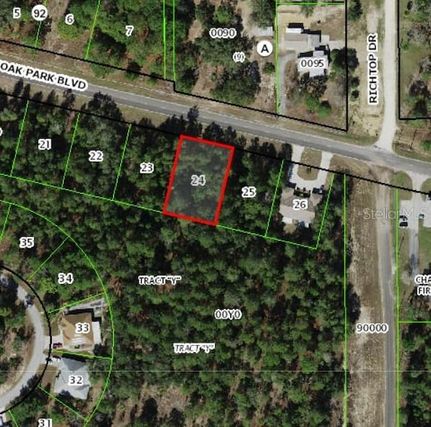 Land for sale in Citrus County, Florida