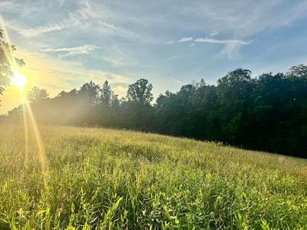 Land for sale in Nicholas County, West Virginia