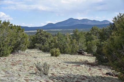 Undeveloped Land for sale in Coconino County, Arizona