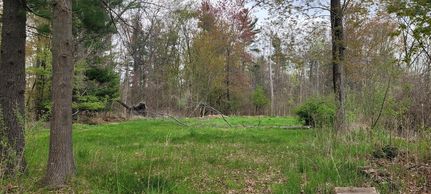Land for sale in Mason County, Michigan