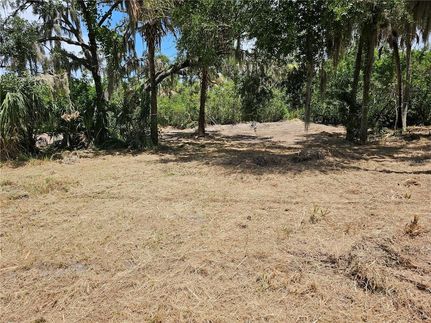 Land for sale in Hillsborough County, Florida