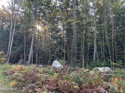 Land for sale in Berkshire County, Massachusetts