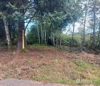 Land for sale in Pacific County, Washington
