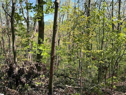 Undeveloped Land for sale in Pickens County, South Carolina