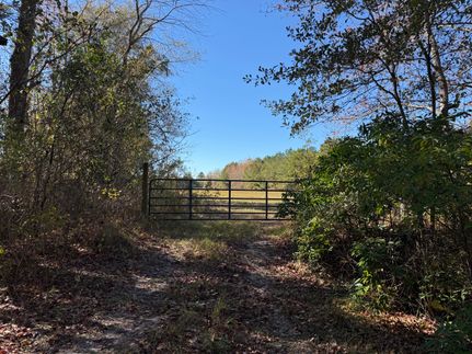 Timberland Property for sale in Florence County, South Carolina