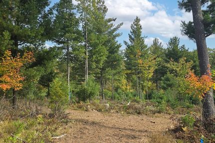 Land for sale in Bayfield County, Wisconsin