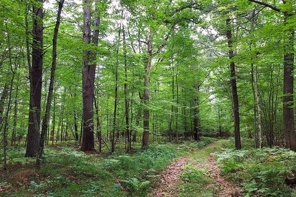 Commercial Property for sale in Marinette County, Wisconsin