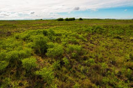 Land for sale in Childress County, Texas