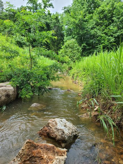 Land for sale in Izard County, Arkansas