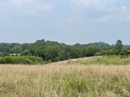 Commercial Property in Union County, Illinois