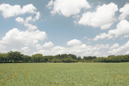 Land for sale in Red River County, Texas