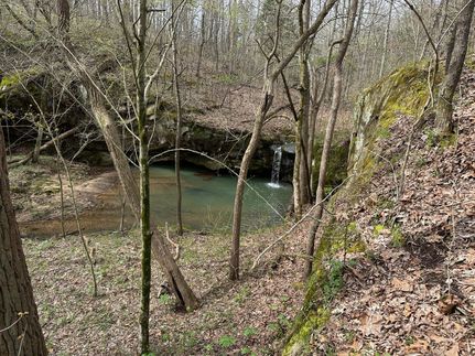 Land for sale in Johnson County, Illinois