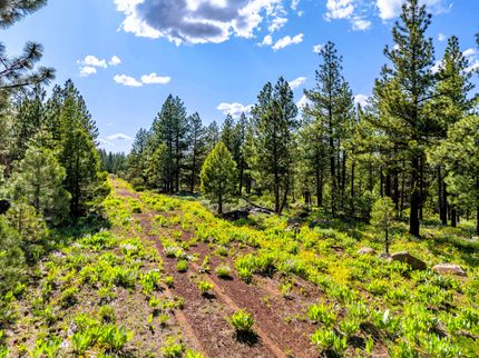 Homesite for sale in Modoc County, California