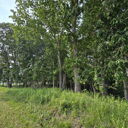 Farm and Ranch in Marion County, Illinois