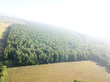 Timberland Property for sale in Wayne County, Illinois