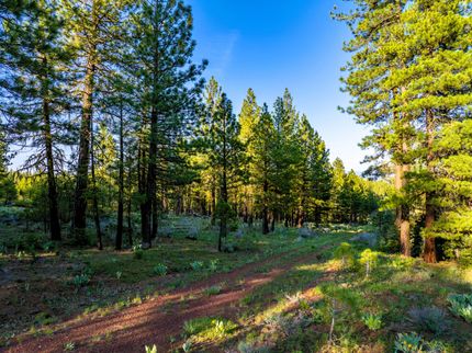 Undeveloped Land for sale in Modoc County, California