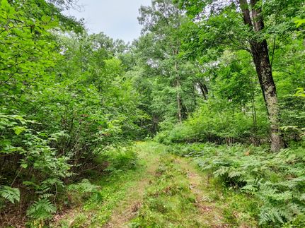 Hunting Property for sale in Marinette County, Wisconsin