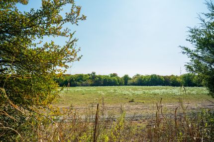 Land for sale in Fannin County, Texas